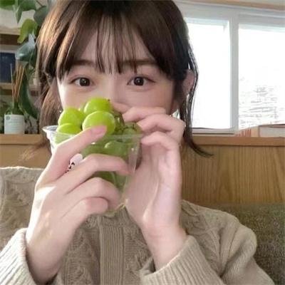 哺乳动物第一季